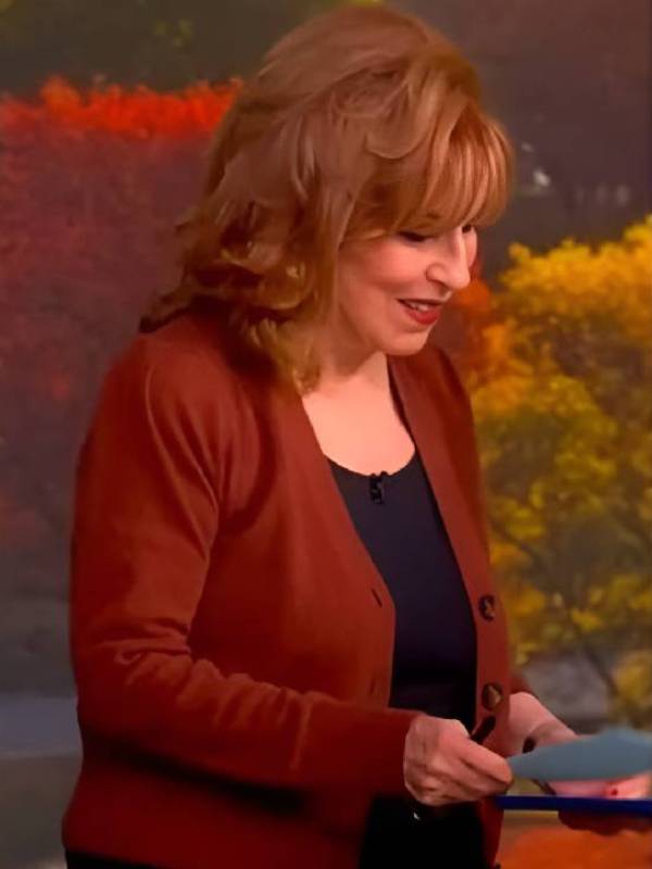 The View S29 Joy Behar Brown Cardigan USA Jackets